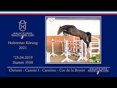 Holsteiner Körlot 2021 | Nr. 20 v. Christer - Cassini I - Caretino - Cor de la Bryere