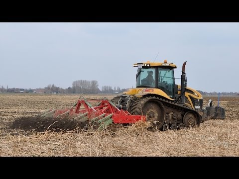 Challenger MT 765C & cultivator - Loonw. Vereecke-De Cleene