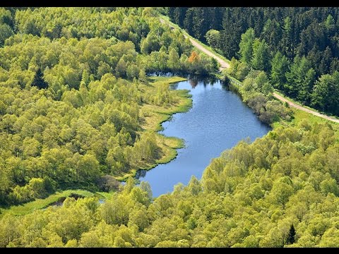 Naturschutzgebiet Rotes Moor. Ein Film für Hörende und Nichthörende