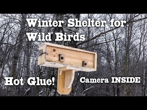 Wild Bird Winter Roost or Shelter from Bad Weather DIY Gorilla Hot Glue