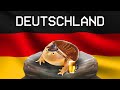 A Video About Germany