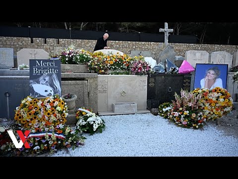 French Actress Brigitte Bardot's Grave Covered In flowers In Seaside Cemetery | VERTEX