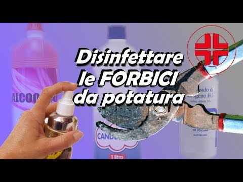 La decolorazione sbatte una maschera fino a rendere cremoso Olio essenziale per la persona per decolorazione