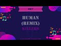 Killers - Human (Remix)