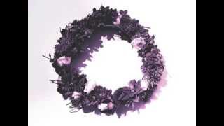 Korallreven with Cornelius - Try Anything Once