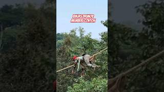 Download lagu BINJAS PUSDIK BRIMOB WATUKOSEK #bintarabrimob#siswabintarabrimob mp3