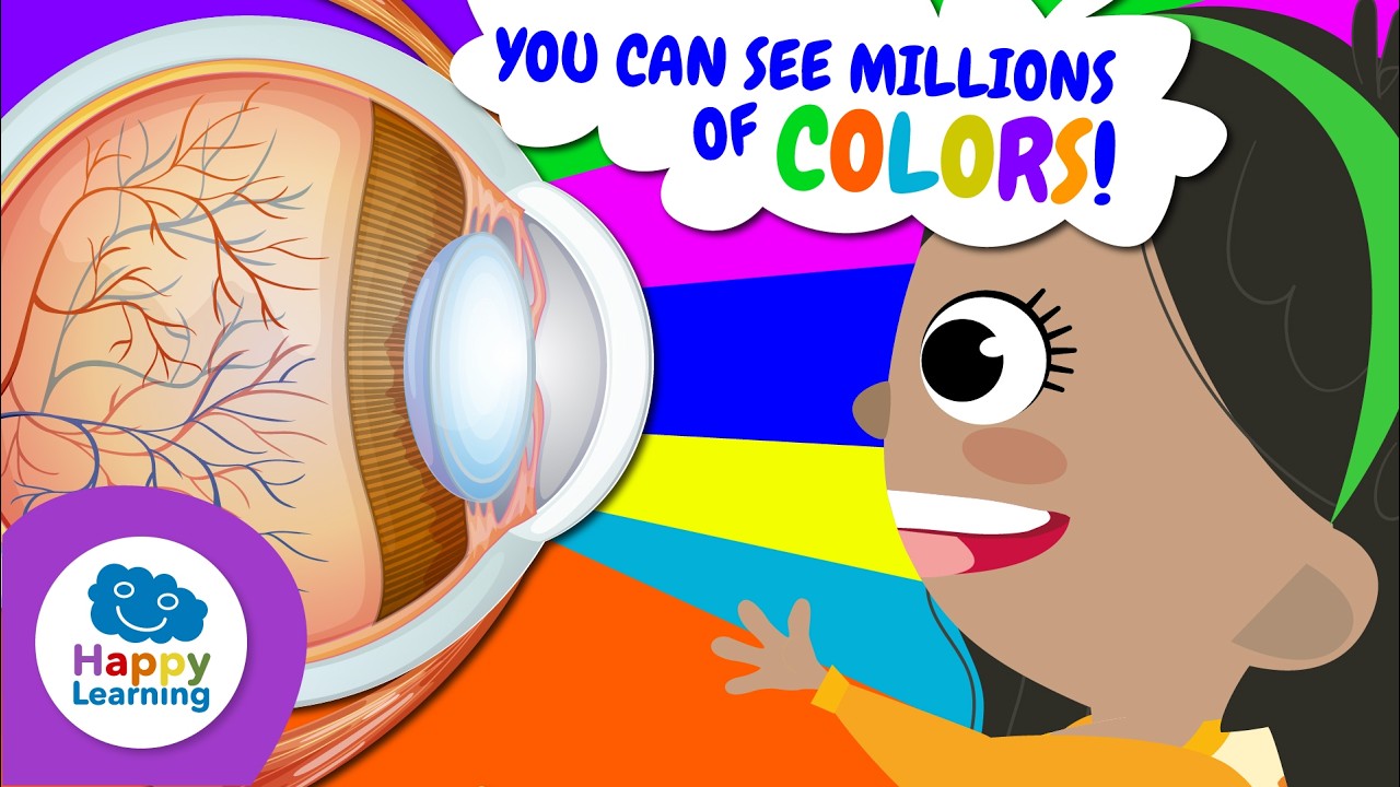 👁️THE SENSE OF SIGHT: YOUR EYES ARE INCREDIBLE! | Educational Videos for Children | @HappyLearningEN