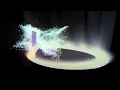 Disney Digital 3D 2010 HD 1080p