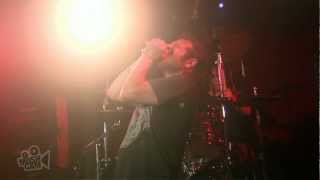 OFF! - Now I'm Pissed | Live in Sydney | Moshcam