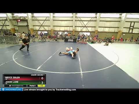 92 Lbs Champ. Round 1 - Bryce Zeiler, AK Vs Jaxon Lane, TN 99a1
