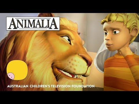 Animalia - Series Trailer
