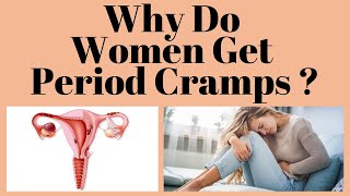 Why Do Women Get Period Cramps ?
