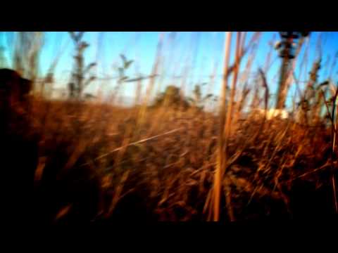 Anton Neumark - Break Free