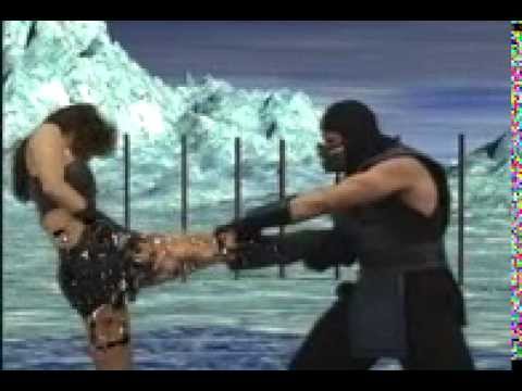 Federation of Martial Arts: Siann vs Sub-Zero - Round 3