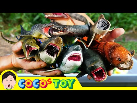 Wild fish live in my front yard!｜Ichthyosaurus, dinosaurs kidstoon｜CoCosToy