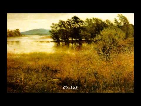 Challif feat. Farisha - Just exception (Liquid drum and bass)