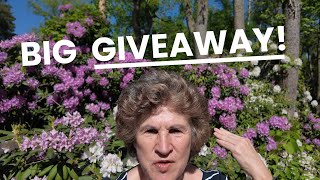 Rainpoint 2 Zone Sprinkler & Hub Giveaway!