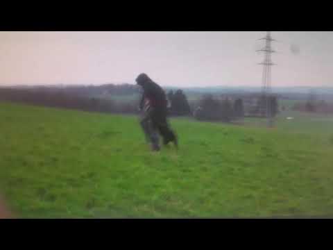 Enzo vom Schwarzen Grat