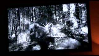 Kim M Kimselius o Siw Malmkvist om Snapphanar i Vem tror du att du är.flv