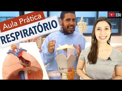 Respiratory System 6/6: Practical Class with Wedson Vila Nova | Anatomy and etc.