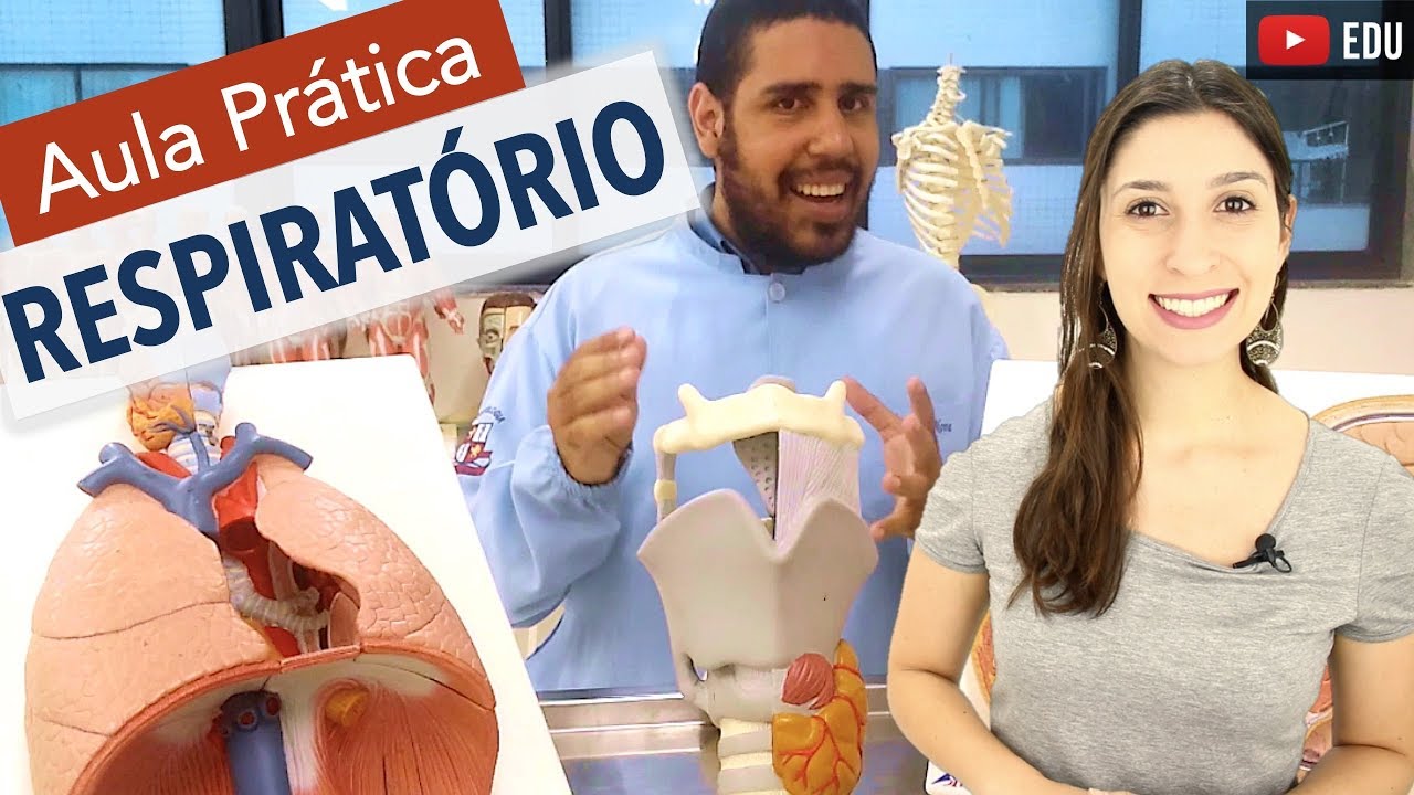 Sistema Respiratório 6/6: Aula Prática com Wedson Vila Nova | Anatomia e etc