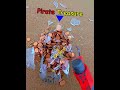 Best Metal Detector Finds Ever!
