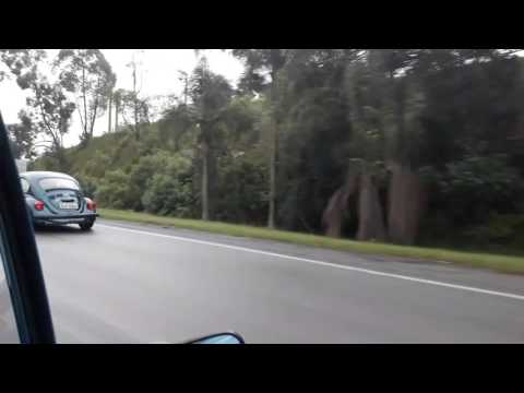 Comboio para o evento só fusca Club 2017