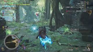 ワイルズまったり遊ぶだけ