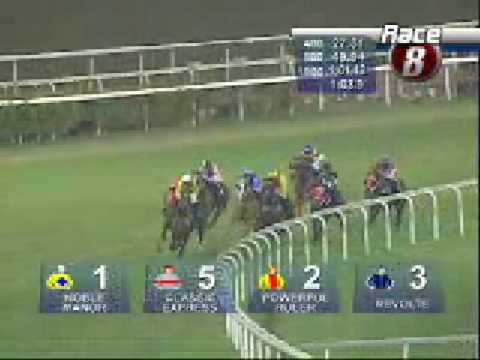 SINGAPORE GUINEAS 27/02/09 - REVOLTE