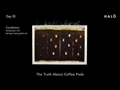 Human Element Productions video.