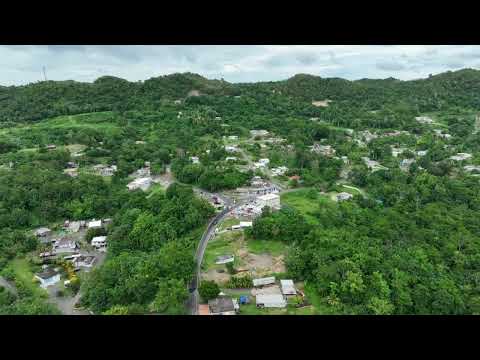 Magueyes/Rocha Puerto Rico