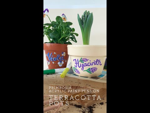 Primrosia Acrylic Paint Pens on terracotta pots, diy