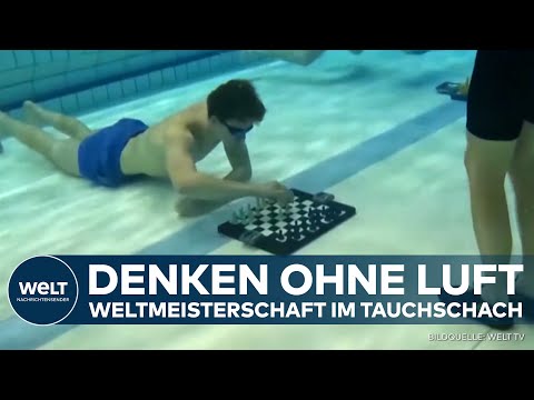 NIEDERLANDE: Schach unter Wasser - Diese WM treibt Spieler an ihre Grenzen!