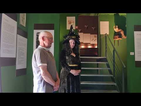 Hexenmuseum Obscurum Thale