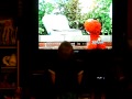Jordan Getting A Kick Out Of Elmo Super Cute 18 Months Old