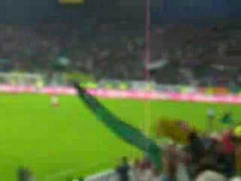 Wacker Tirol - Red Bull Salzburg