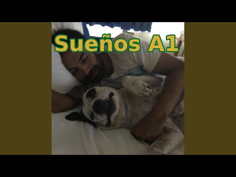 Suenos A1