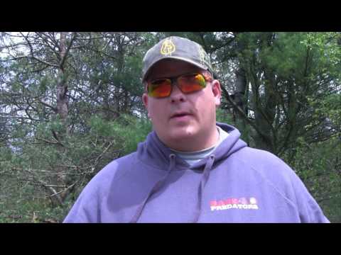download lagu mp3 mp4 Michigan Bear Season, download lagu Michigan Bear Season gratis, unduh video klip Michigan Bear Season