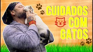 CUIDADOS COM GATOS | CONHEÇA O TETA | RICHARD RASMUSSEN