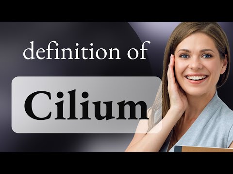 Cilium • what is CILIUM definition