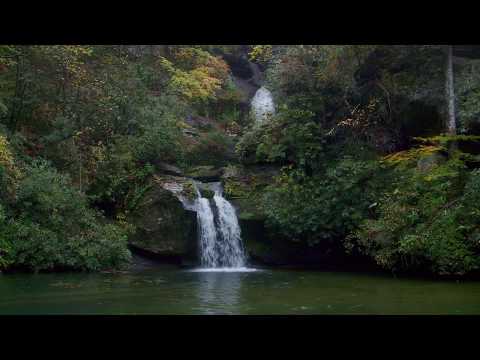 Discover Upcountry South Carolina