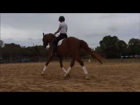 Regal Quickstep Oct 17