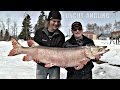 First Musky EVER from Lake Winnipeg?? - Uncut Angling - April 10, 2014