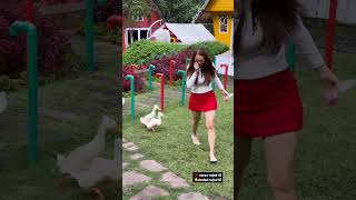 Download lagu Salah Fokus Aura Kasih Dikejar Bebek mp3