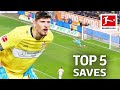 Gregor Kobel • Top 5 Saves from Borussia Dortmund's New Goalkeeper