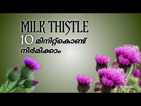 #jbgreens #craftvideo How To Make Milk Thistle Paper Flower | Paper Flower | Paper Craft | JB greens