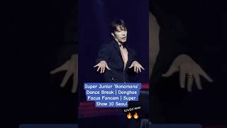 Download lagu Super Junior ‘Bonamana’ Dance Break | Donghae Focus Fancam | Super Show 10 Seoul mp3