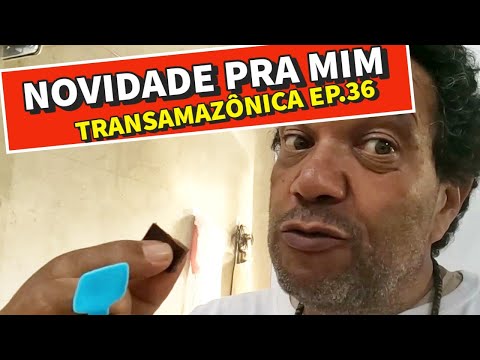 Cacau no Pará essa eu não sabia - Transamazônica Ep 36