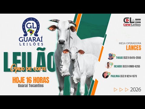 LEILÃO ESPECIAL DE DOMINGO GUARAÍ LEILÕES | GUARAÍ-TO -  22/02/2026
