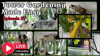 Tower Gardening Made Easy LIVE CAM #towergarden #hydroponicgardening #garden #farm #aeroponic